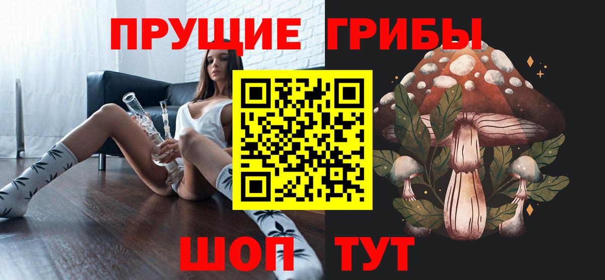 Галлюциногенные грибы прущие грибы  Вход с VPN  Лосино-Петровский  даркнет сайт  Псилоцибиновые грибы Psilocybe 